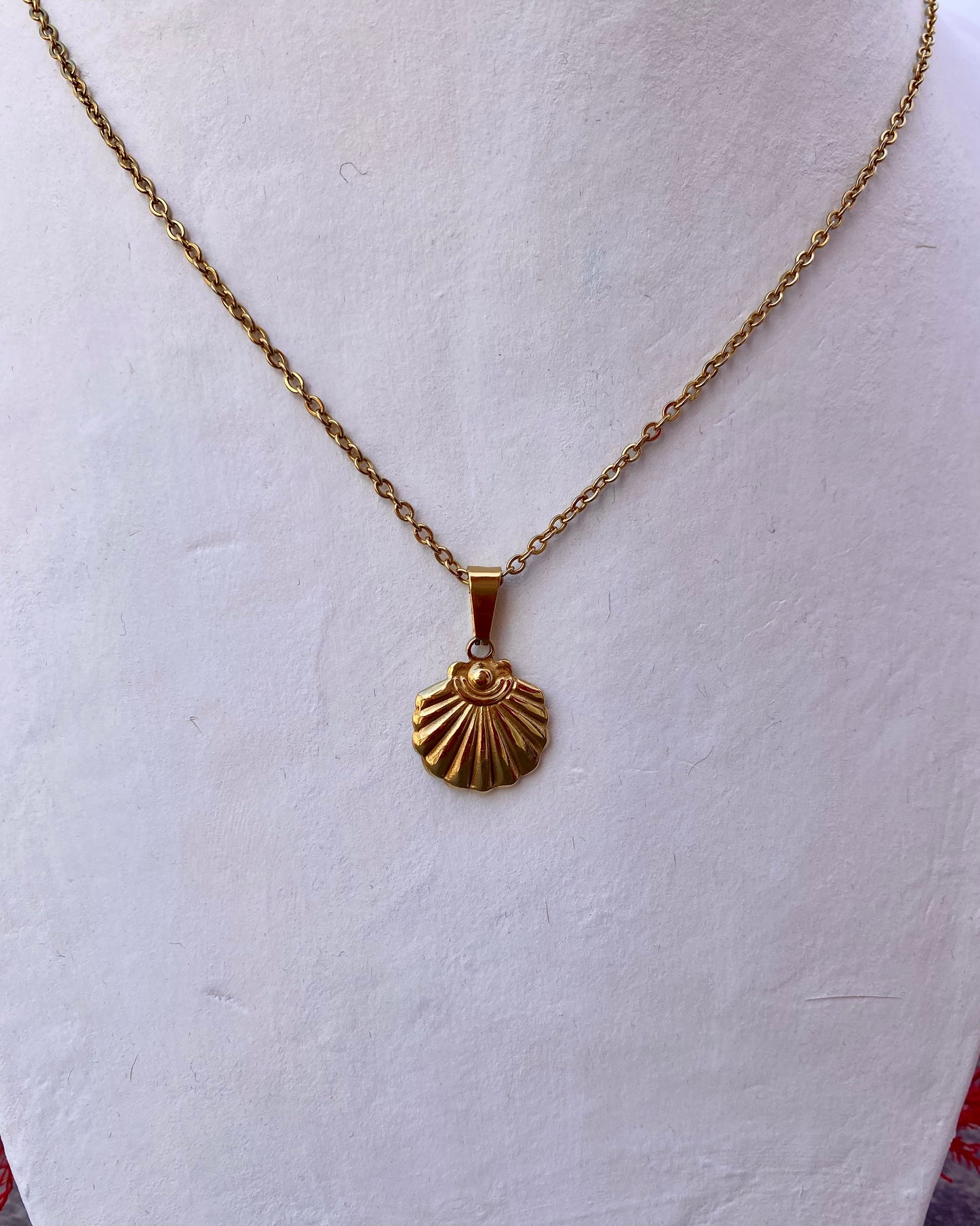 Seashell✨BEST SELLER!
